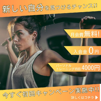 画像254