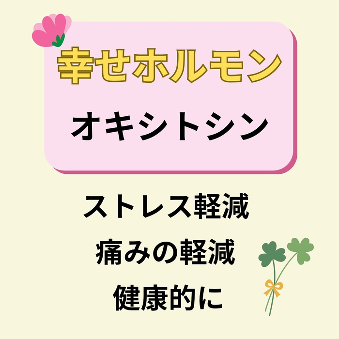 画像326
