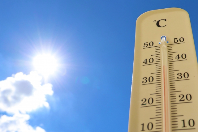 夏に向けて健康維持を実現！特別なパーソナルトレーニングプランで理想の体を手に入れよう！