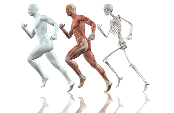 筋肉は、人生を動かす力になる。理学療法士の知識で、これからの毎日を変えるパーソナルトレーニング。