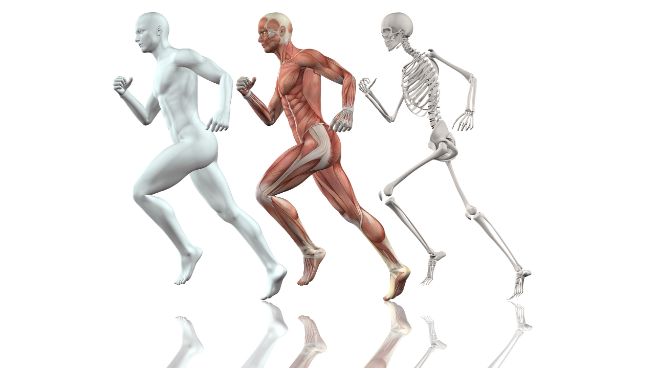 筋肉は、人生を動かす力になる。理学療法士の知識で、これからの毎日を変えるパーソナルトレーニング。